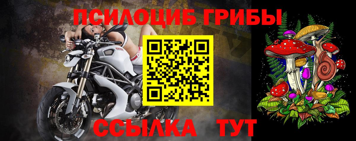 Улан-Удэ  Псилоцибиновые грибы ЛСД  Псилоцибиновые грибы Psilocybine cubensis  Вход с VPN 