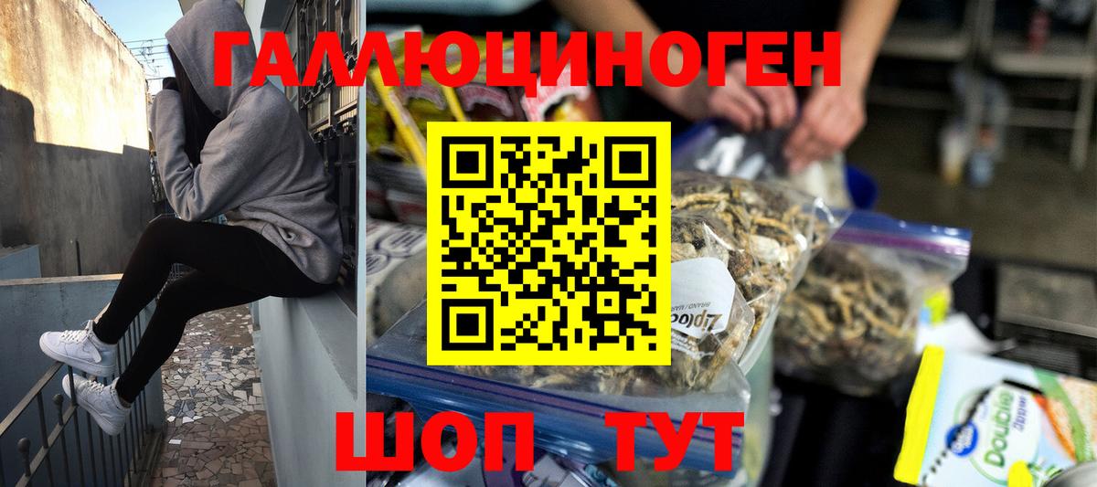 Псилоцибиновые грибы Psilocybe Улан-Удэ